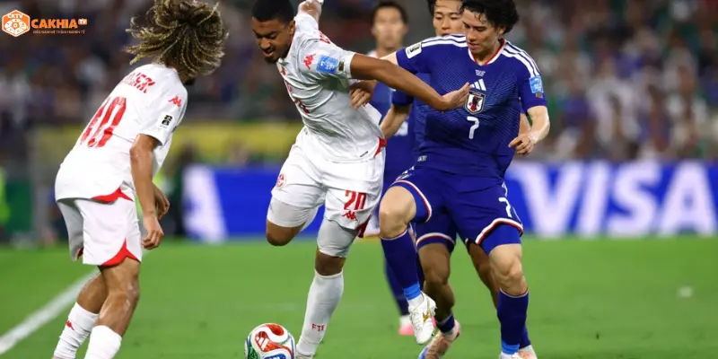  Virgil Van Dijk Cody Gakpo Hà Lan Tunisia vs Hà Lan World Cup 2026